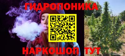 apvp Можга