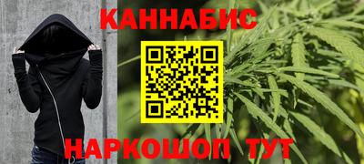 apvp Можга
