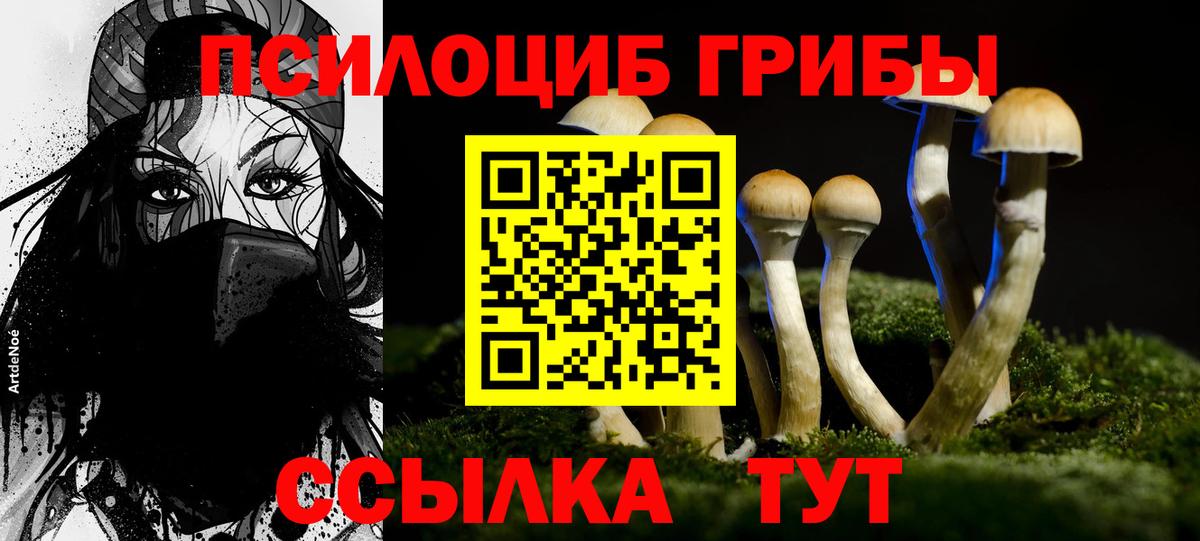 Псилоцибиновые грибы Psilocybe  Вход с VPN  Шахты  Галлюциногенные грибы мухоморы 